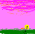 Sunny Love